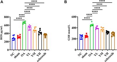 Clinical efficacy of Yiqi Yangxue formula on knee osteoarthritis and unraveling therapeutic mechanism through plasma metabolites in rats